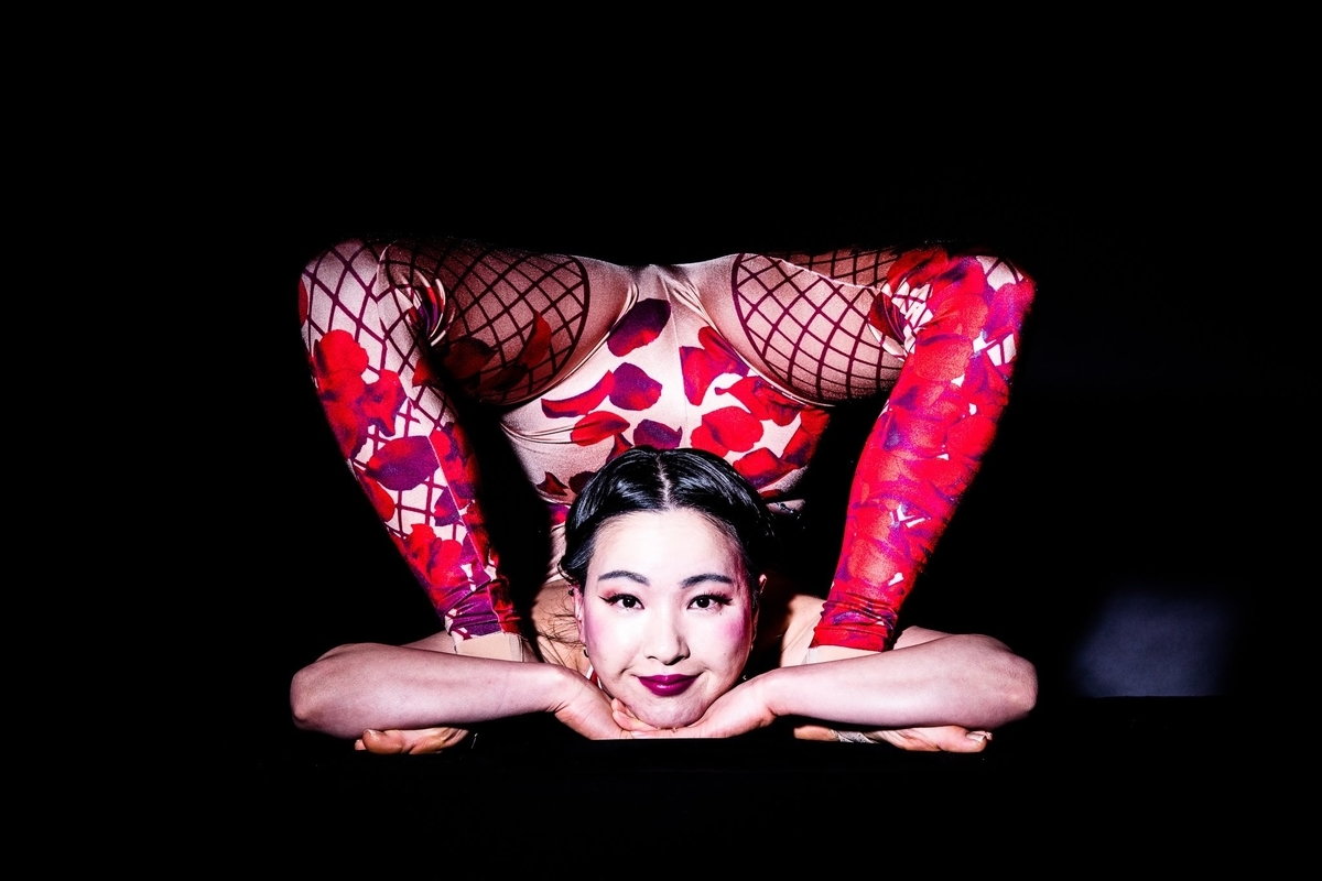 f:id:ashcontortionist:20190425124148j:plain f:id:ashcontortionist:20190425124148j:plain