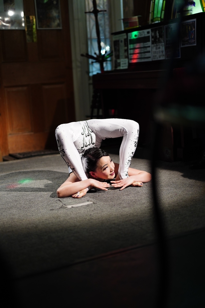 f:id:ashcontortionist:20190515233512j:plain f:id:ashcontortionist:20190515233512j:plain