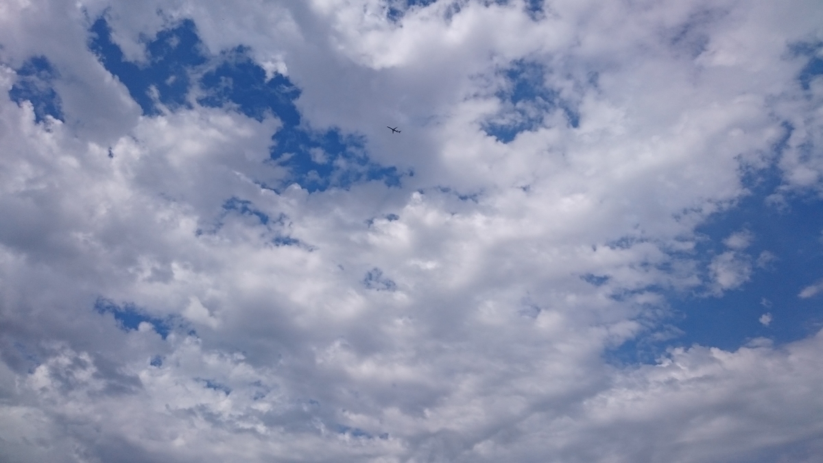 f:id:ashcontortionist:20190720223440j:plain f:id:ashcontortionist:20190720223440j:plain
