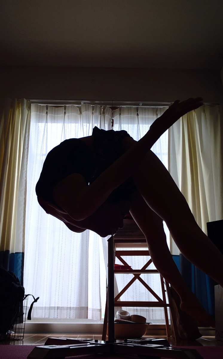 f:id:ashcontortionist:20190730192835p:plain