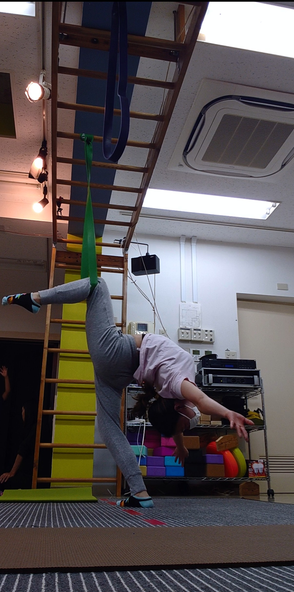 f:id:ashcontortionist:20191116224027p:plain f:id:ashcontortionist:20191116224027p:plain
