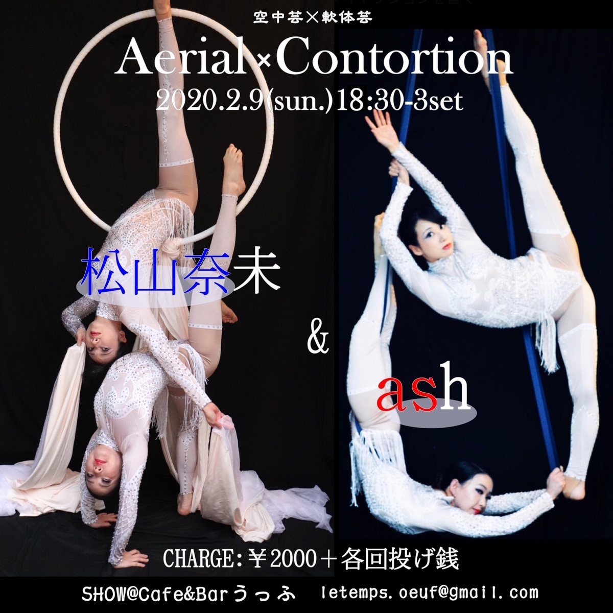 f:id:ashcontortionist:20200124181040j:plain f:id:ashcontortionist:20200124181040j:plain