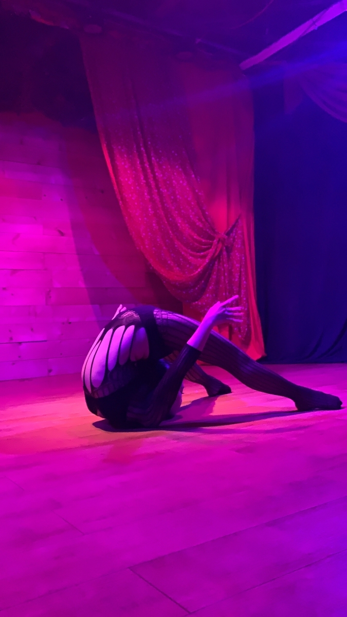 f:id:ashcontortionist:20200220100139j:plain f:id:ashcontortionist:20200220100139j:plain