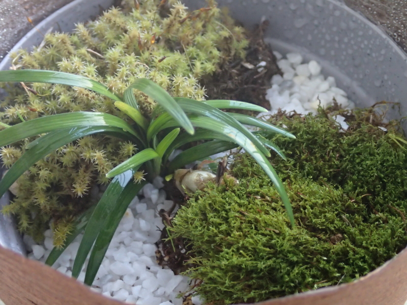 f:id:ashes_snow:20130108173701j:image:w360:right