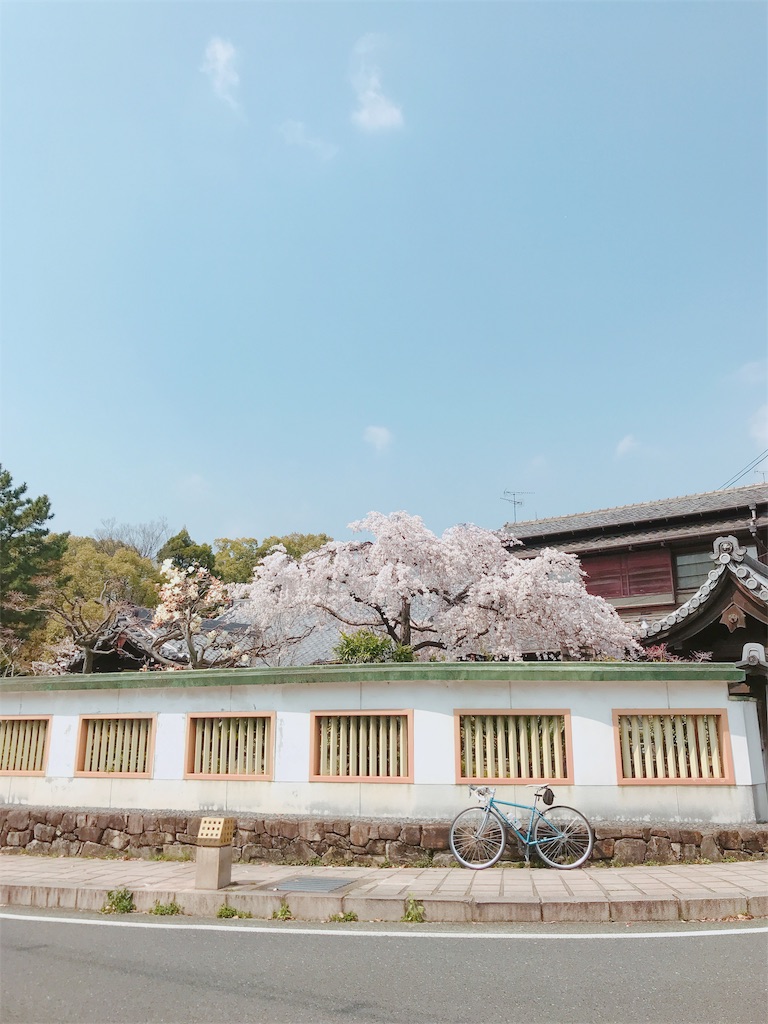 f:id:ashiachiko:20180328231518j:image