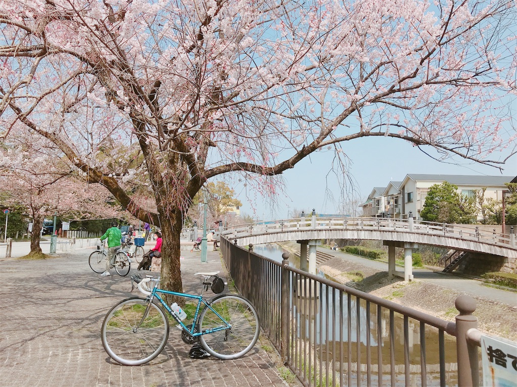 f:id:ashiachiko:20180328231550j:image