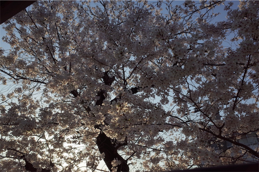 f:id:ashiachiko:20180328231631j:image