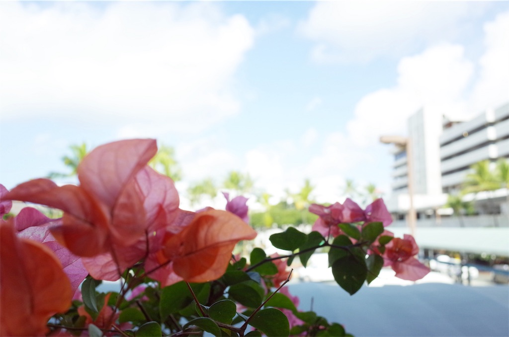 f:id:ashiachiko:20180407081213j:image