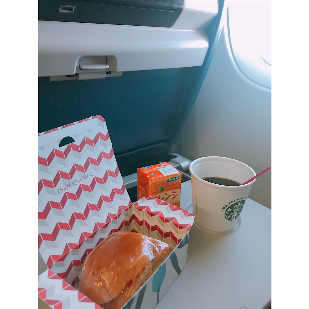 f:id:ashiachiko:20180407081249j:image