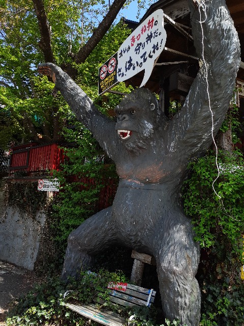 蔵王キツネ村_ゴリラ