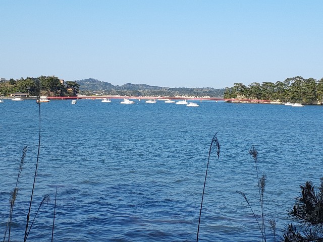 松島_絶景