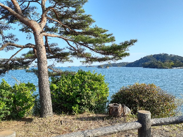 松島_絶景