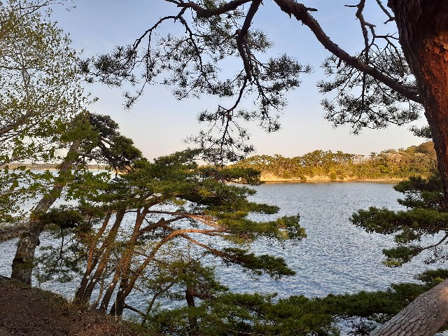 松島_絶景