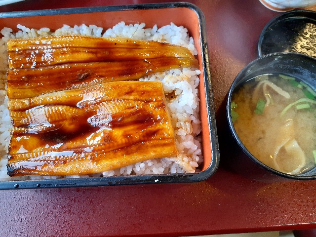 松島_お食事処櫻井_穴子丼