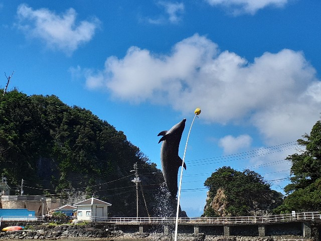 下田海中水族館_バンドウイルカ_ジャンプ