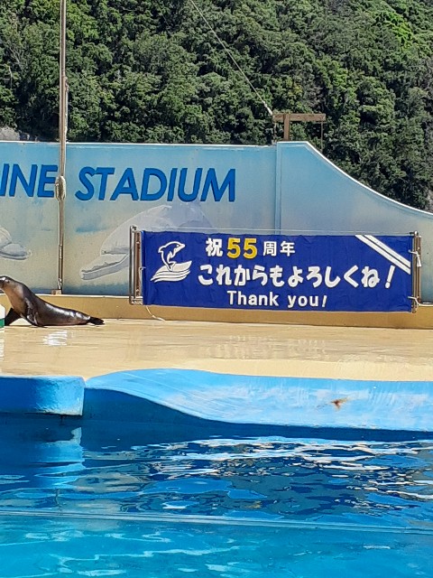 f:id:ashiaki-nikki:20220730193042j:image