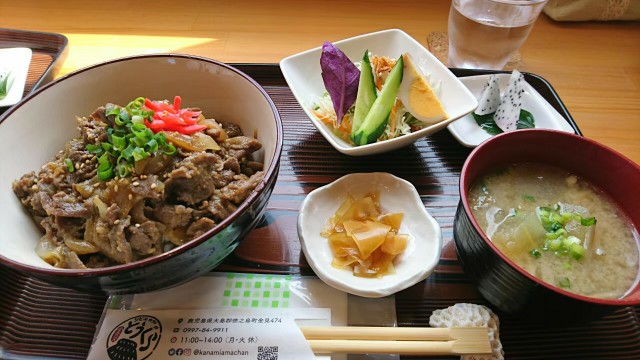 鹿児島県_奄美_徳之島_ジビエカフェとうぐら_とうぐら丼_猪肉