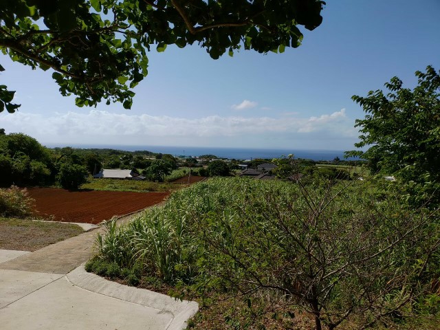 鹿児島_奄美_徳之島_阿権八幡神社_展望台