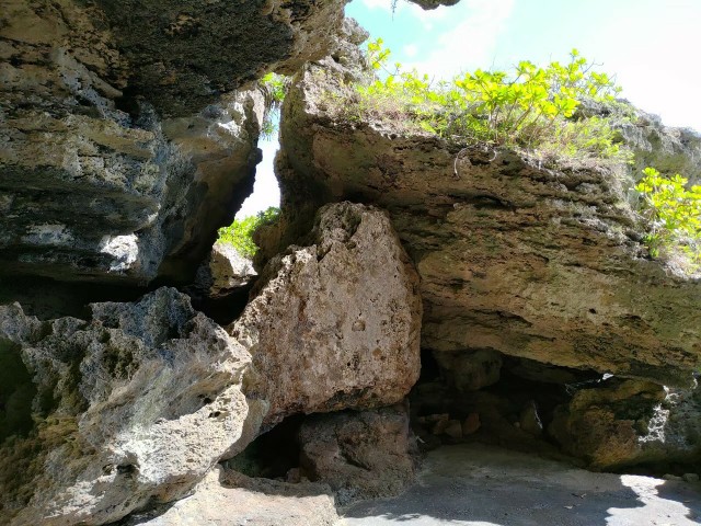 鹿児島_奄美_徳之島_ミヤトバル遺跡_貝塚
