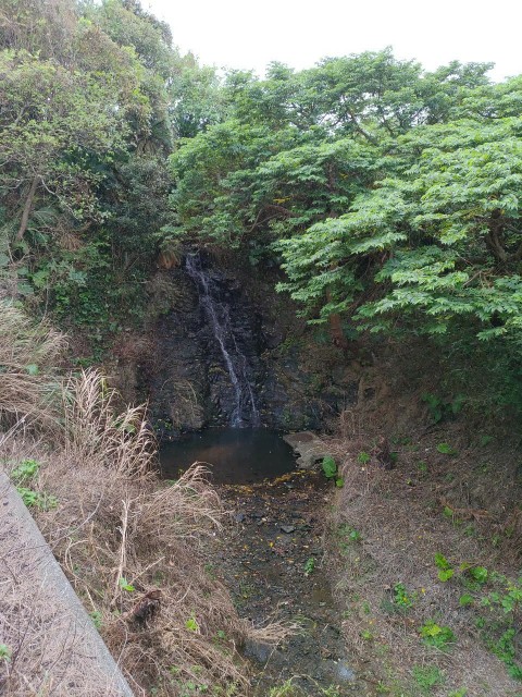 鹿児島_奄美_徳之島_幸福の滝