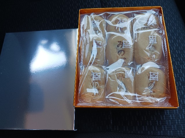 f:id:ashiaki-nikki:20250110151824j:image