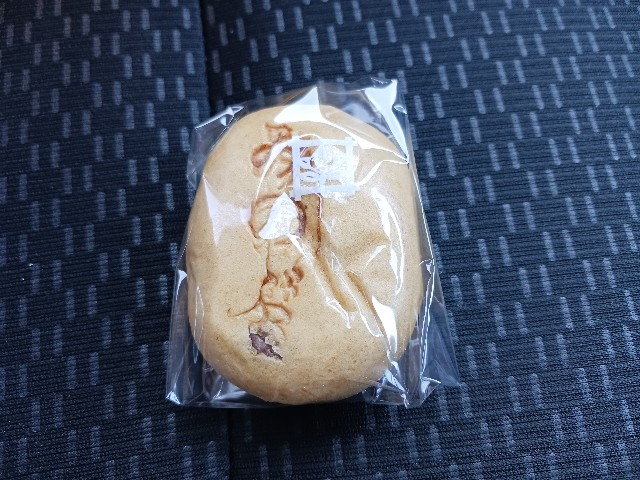 f:id:ashiaki-nikki:20250110151832j:image