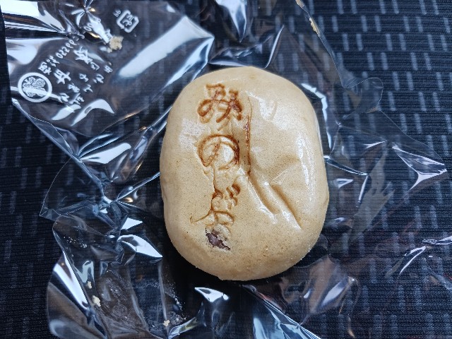 f:id:ashiaki-nikki:20250110151841j:image
