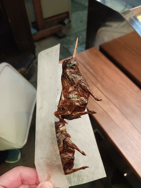 f:id:ashiaki-nikki:20250504222211j:image