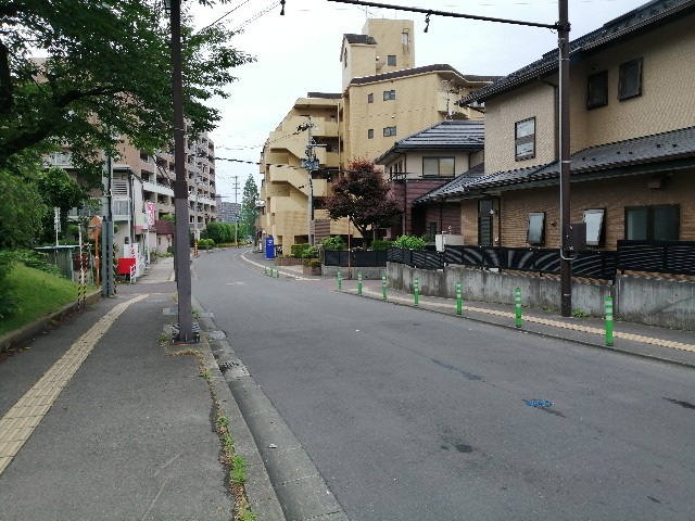 f:id:ashibebe_n:20200620155731j:image