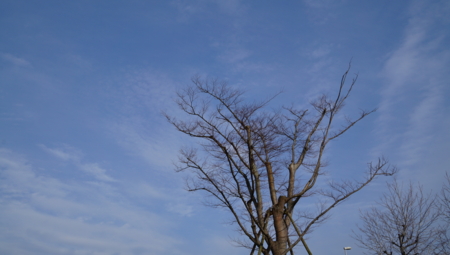 f:id:ashibibunko:20170322163935j:image:left f:id:ashibibunko:20170322163935j:image:left