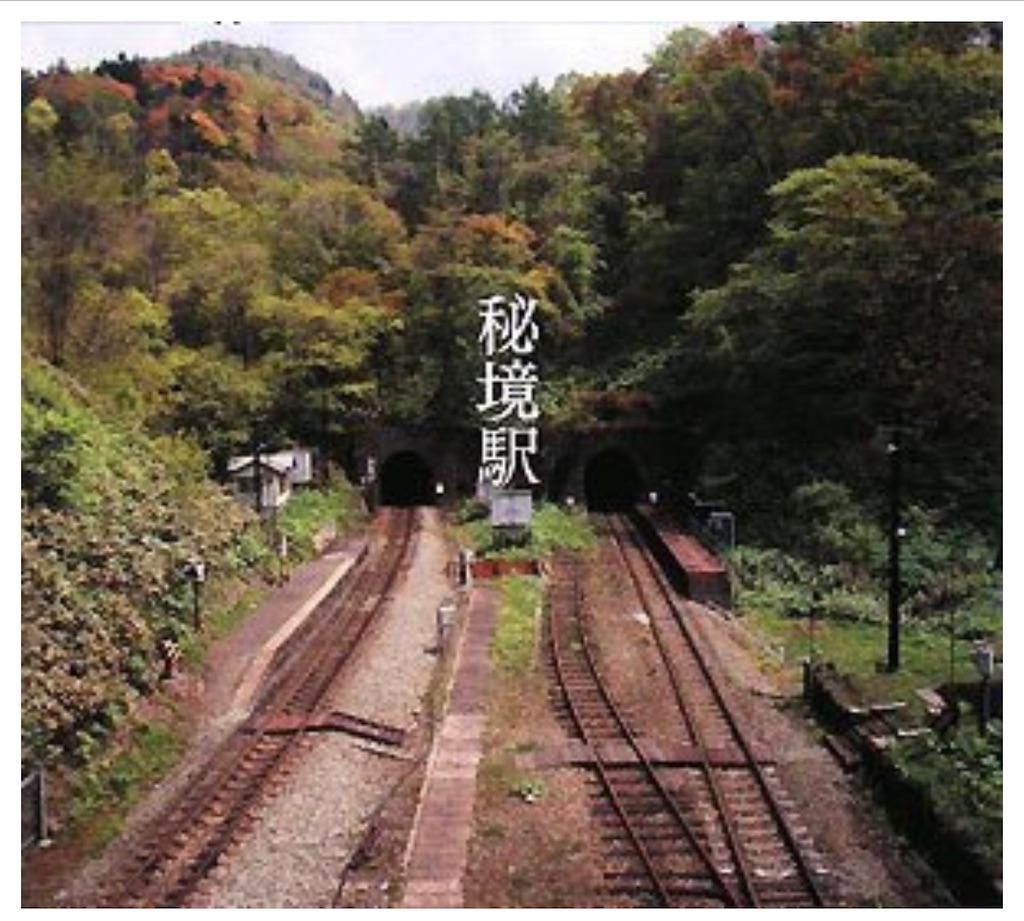 f:id:ashidashinsaku:20220614214123j:image f:id:ashidashinsaku:20220614214123j:image