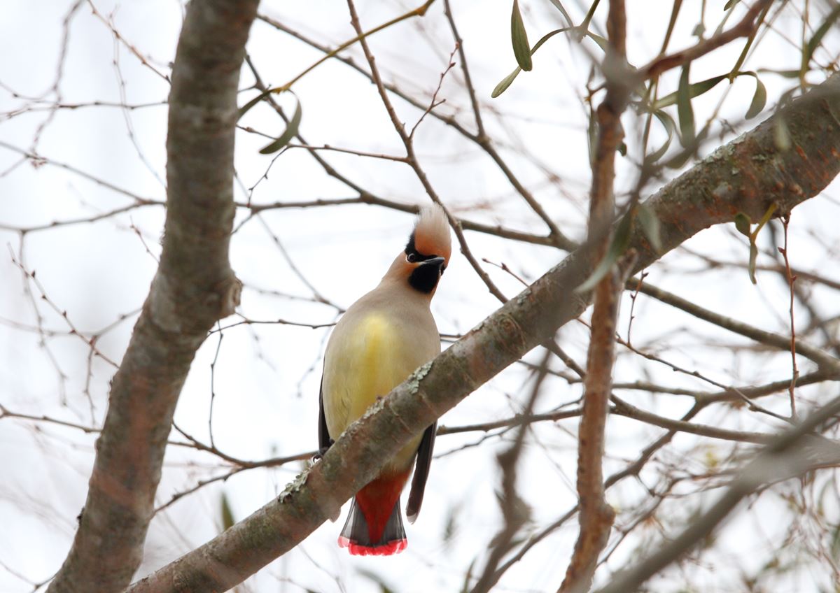 f:id:ashige856:20140309143043j:image:w400 f:id:ashige856:20140309143043j:image:w400