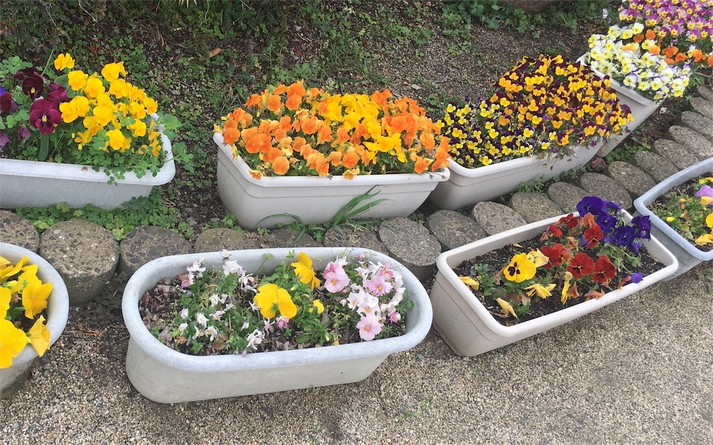 f:id:ashikatan:20170411141732j:image