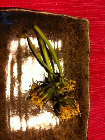 f:id:ashino:20130412180047j:image