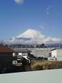 御殿場から見た富士山