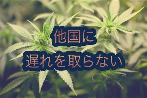 f:id:ashintakun:20200217200849j:image