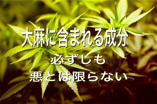 f:id:ashintakun:20200217200938j:image