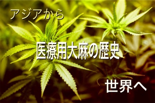 f:id:ashintakun:20200217201022j:image
