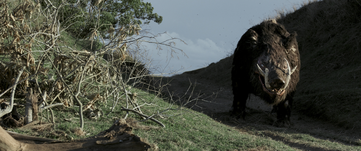 ボア Boar 感想 評価 B級パニック映画ファン以外は借りちゃダメ 怠惰ウォンテッド