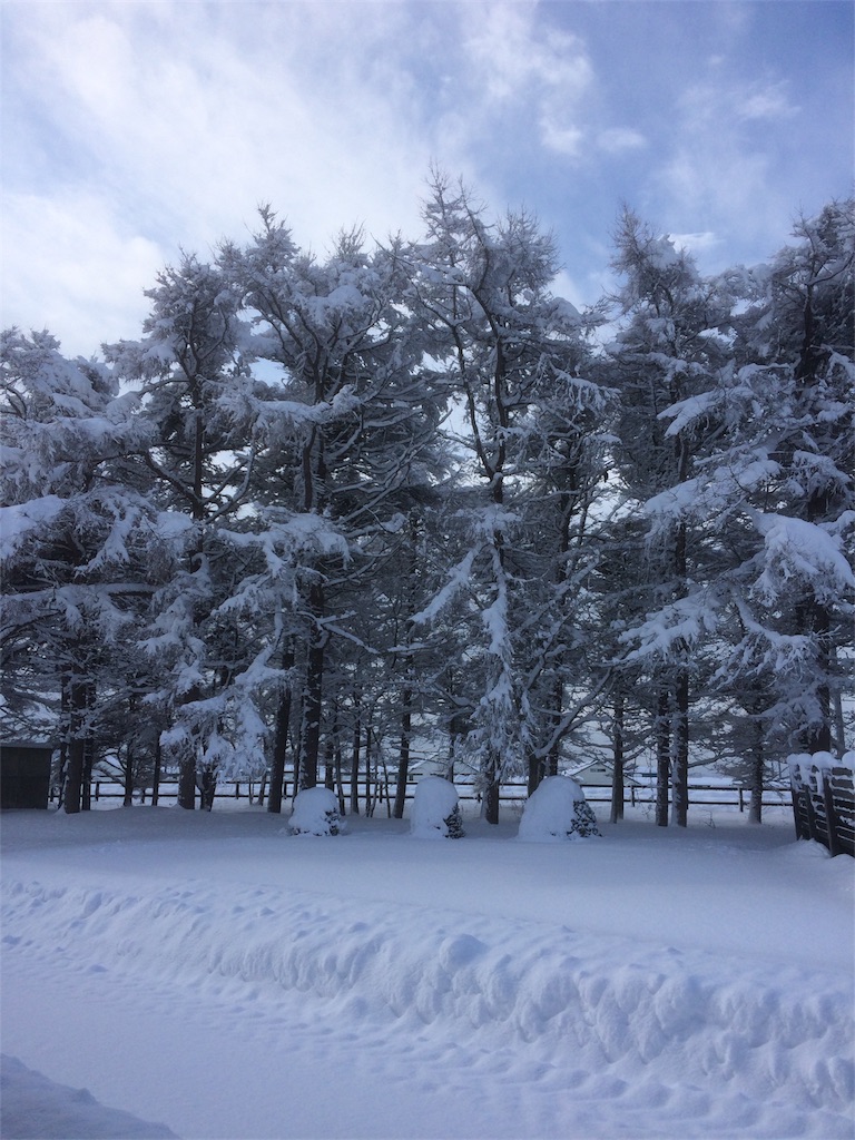 f:id:ashitawahareu:20180206124013j:image f:id:ashitawahareu:20180206124013j:image