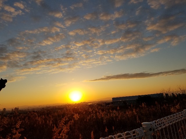f:id:ashiyamiwa:20190101101422j:image f:id:ashiyamiwa:20190101101422j:image