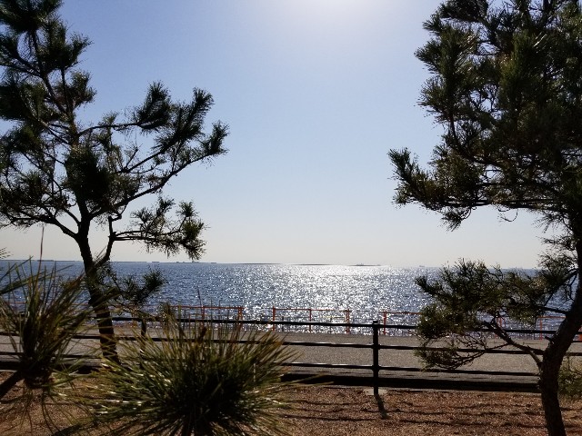 f:id:ashiyamiwa:20190205205001j:image