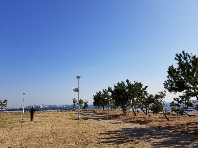 f:id:ashiyamiwa:20190205205006j:image
