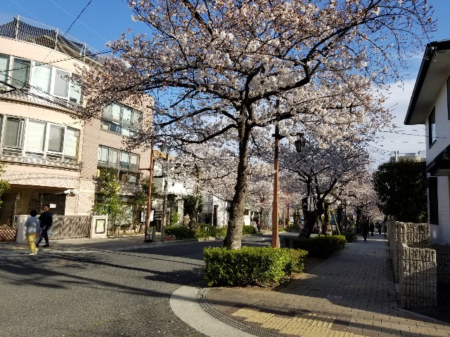 f:id:ashiyamiwa:20190405192821j:image