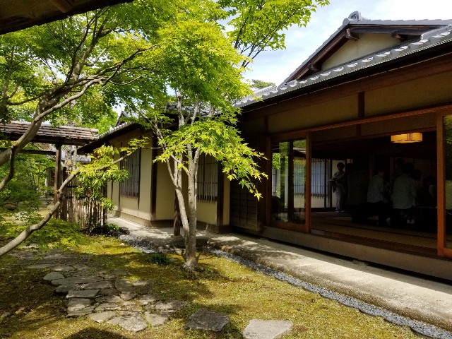 f:id:ashiyamiwa:20190503141714j:image f:id:ashiyamiwa:20190503141714j:image
