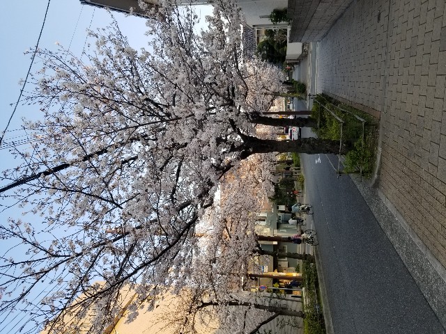 f:id:ashiyamiwa:20200404195704j:image