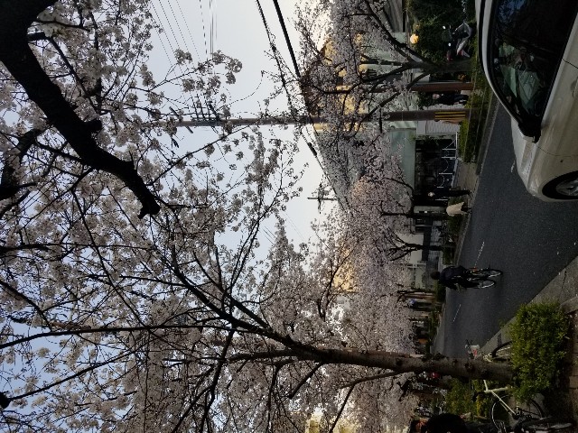 f:id:ashiyamiwa:20200404195740j:image