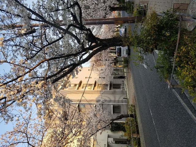 f:id:ashiyamiwa:20200404195817j:image