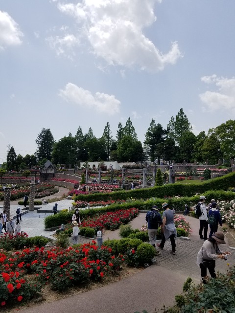 f:id:ashiyamiwa:20210510094916j:image