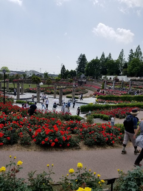 f:id:ashiyamiwa:20210510094928j:image